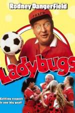 Watch Ladybugs M4ufreemovies