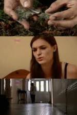 Watch How Drugs Work: Cannabis M4ufreemovies