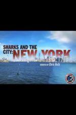 Watch Sharks and the City: New York M4ufreemovies