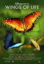 Watch Disneynature: Wings of Life M4ufreemovies