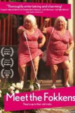 Watch Meet the Fokkens M4ufreemovies