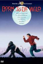 Watch Born to Be Wild M4ufreemovies