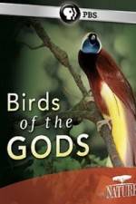Watch Birds Of The Gods M4ufreemovies