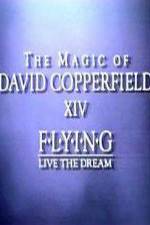 Watch The Magic of David Copperfield XIV Flying - Live the Dream M4ufreemovies