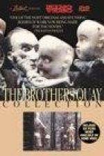 Watch The Comb M4ufreemovies