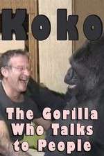 Watch Koko: The Gorilla Who Talks to People M4ufreemovies