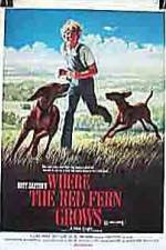 Watch Where the Red Fern Grows M4ufreemovies