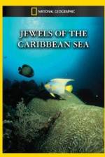 Watch National Geographic Jewels of the Caribbean Sea M4ufreemovies