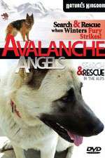Watch Avalanche Angels M4ufreemovies