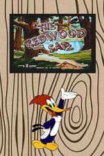 Watch The Redwood Sap (Short 1951) M4ufreemovies