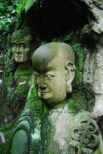 Watch The Thousand Years Old Man M4ufreemovies