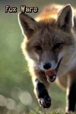 Watch Fox Wars M4ufreemovies