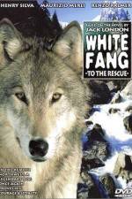 Watch Zanna bianca alla riscossa M4ufreemovies