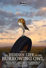 Watch The Hidden Life of the Burrowing Owl (Short 2008) M4ufreemovies
