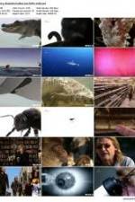 Watch History Channel Evolve: Sex M4ufreemovies