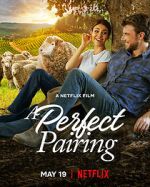 Watch A Perfect Pairing M4ufreemovies