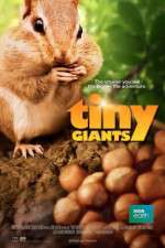 Watch Tiny Giants 3D M4ufreemovies