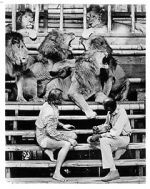 Watch Roar: The Most Dangerous Movie Ever Made M4ufreemovies