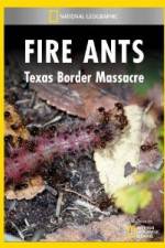 Watch National Geographic Fire Ants: Texas Border Massacre M4ufreemovies