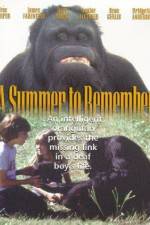 Watch A Summer to Remember M4ufreemovies