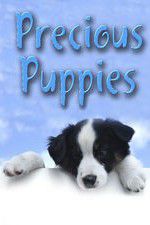 Watch Precious Puppies M4ufreemovies
