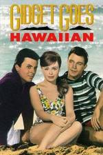 Watch Gidget Goes Hawaiian M4ufreemovies