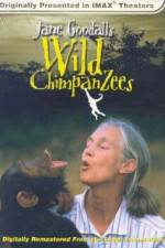 Watch Jane Goodall's Wild Chimpanzees M4ufreemovies