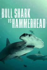 Watch Bull Shark vs Hammerhead M4ufreemovies