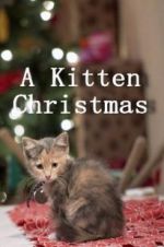 Watch A Kitten Christmas M4ufreemovies