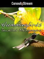 Watch Hummingbirds Jewelled Messengers M4ufreemovies