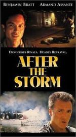 Watch After the Storm M4ufreemovies