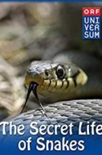Watch The Secret Life of Snakes M4ufreemovies