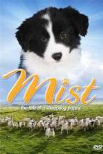 Watch Mist: The Tale of a Sheepdog Puppy M4ufreemovies