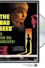 Watch The Bad Seed M4ufreemovies