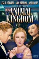 Watch The Animal Kingdom M4ufreemovies