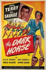 Watch The Dark Horse M4ufreemovies