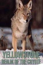 Watch Yellowstone: Realm of the Coyote M4ufreemovies