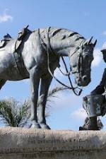 Watch War Horse: The Real Story M4ufreemovies