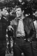 Watch The Devil's 8 M4ufreemovies