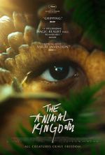 Watch The Animal Kingdom M4ufreemovies