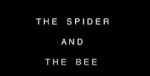 Watch The Spider and the Bee M4ufreemovies