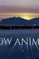 Watch Snow Animals M4ufreemovies