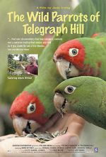 Watch The Wild Parrots of Telegraph Hill M4ufreemovies