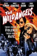 Watch The Wild Angels M4ufreemovies