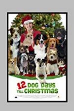 Watch 12 Dog Days Till Christmas M4ufreemovies