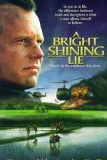 Watch A Bright Shining Lie M4ufreemovies