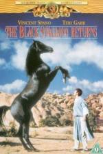 Watch The Black Stallion Returns M4ufreemovies
