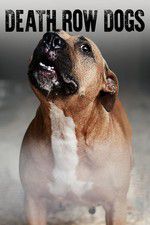 Watch Death Row Dogs M4ufreemovies