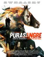 Watch Purasangre M4ufreemovies