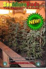 Watch SeeMoreBuds: Vol. 3 M4ufreemovies